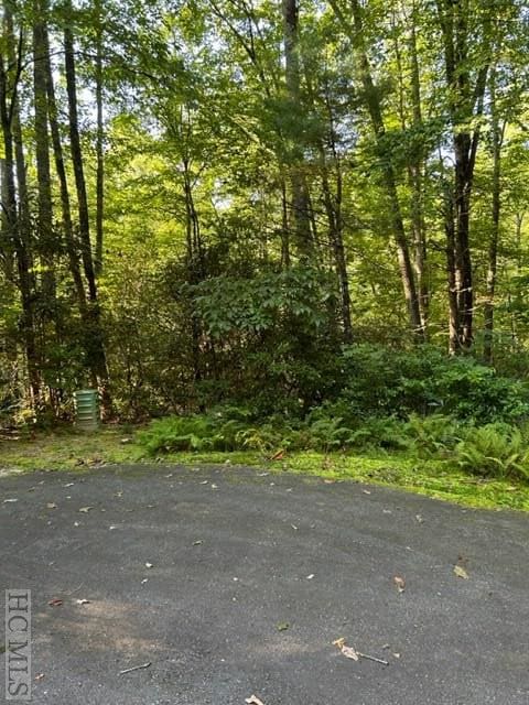 Listing photo 2 for TBD Sourwood Ct, Sapphire NC 28774