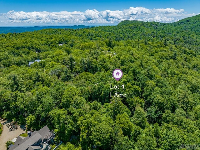 Listing photo 3 for LOT4 Big Bear Pen Rd, Highlands NC 28741