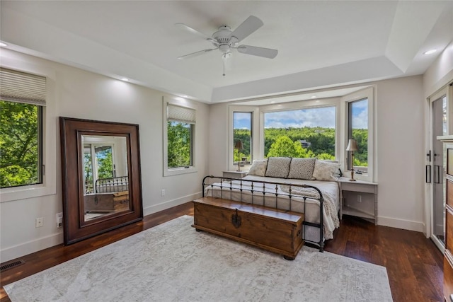 451 Country Club Dr, Highlands, NC 28741 - bedroom with a tray ceiling, multiple windows, and dark wood-type flooring
