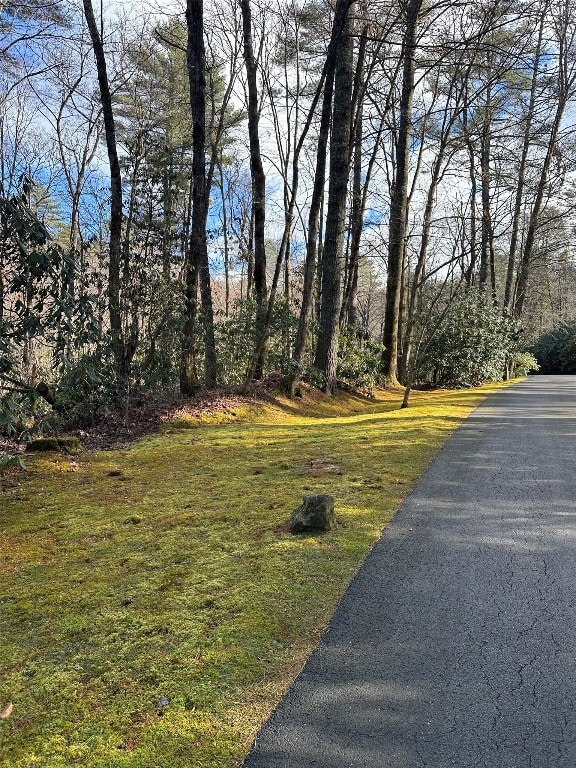 Listing photo 2 for LOT7 Gorge Trl, Cashiers NC 28717