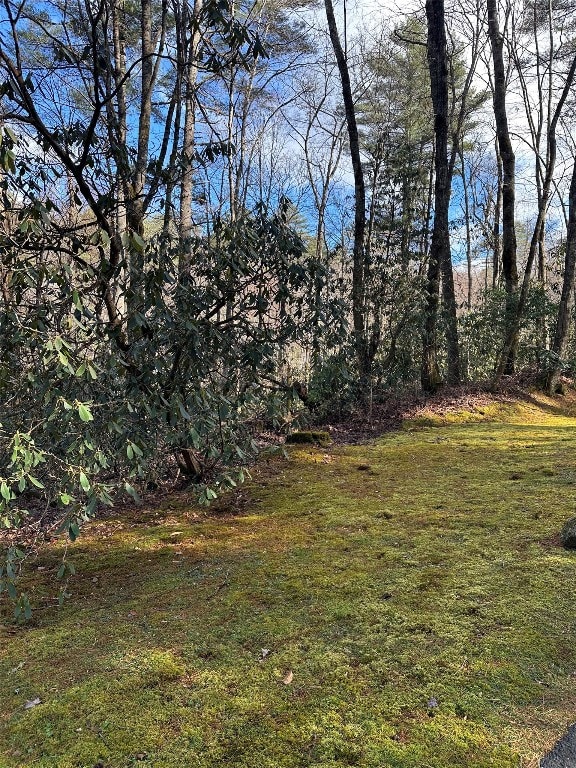 Listing photo 3 for LOT7 Gorge Trl, Cashiers NC 28717