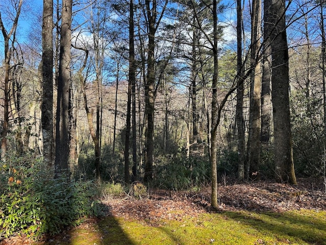 LOT7 Gorge Trl, Cashiers NC, 28717 land for sale