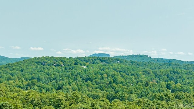 view of mountain feature