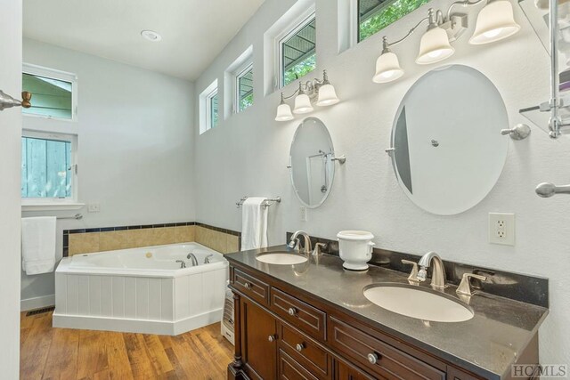 bathroom featuring a bathing tub, vanity, and hardwood / wood-style floors