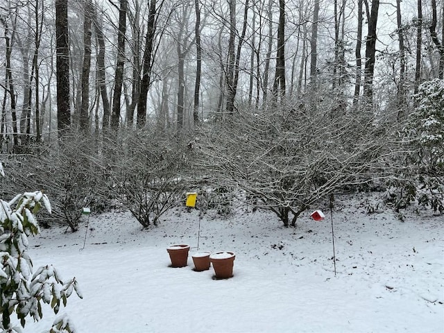 view of yard covered in snow
