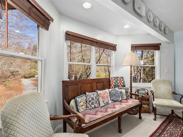 living area featuring carpet