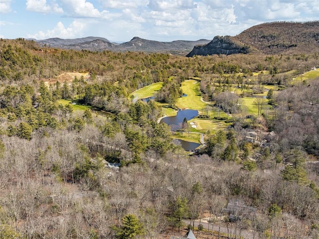 drone / aerial view with a water and mountain view