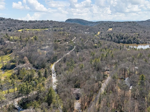 bird's eye view featuring a forest view and a water and mountain view