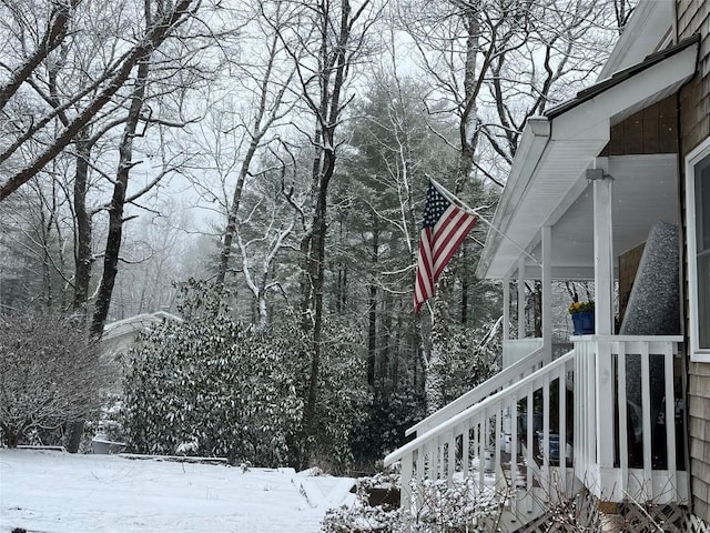 view of yard covered in snow