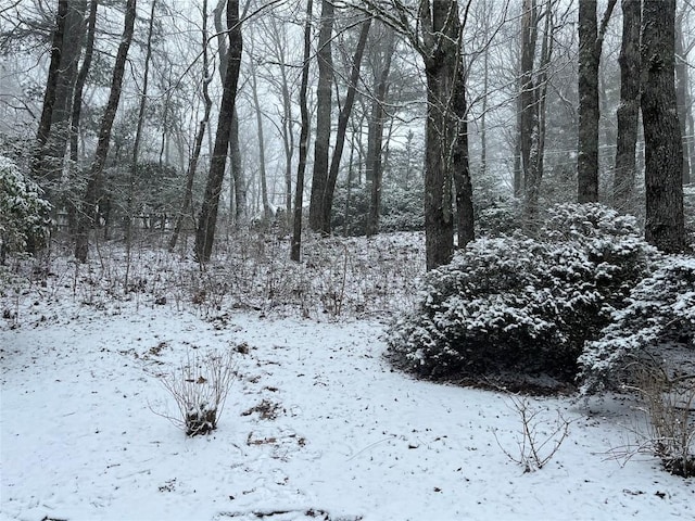 view of snow covered land