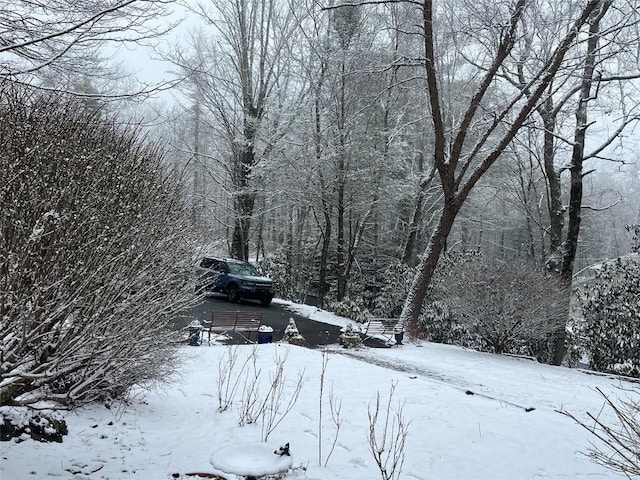 view of yard layered in snow