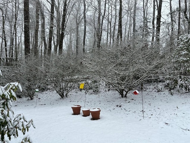 view of yard layered in snow