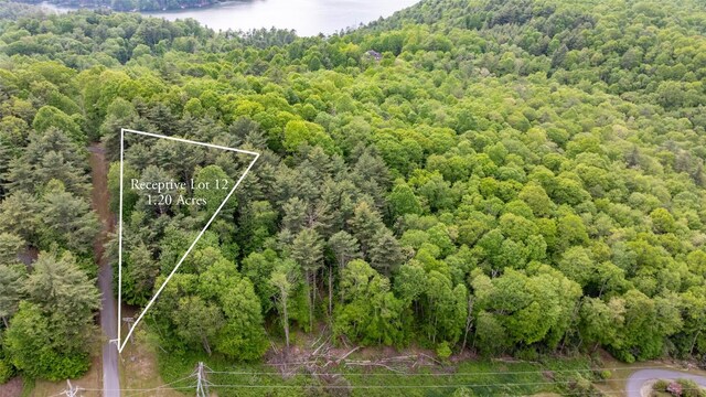 522 Receptive Dr, Glenville, NC 28736 - photo 6