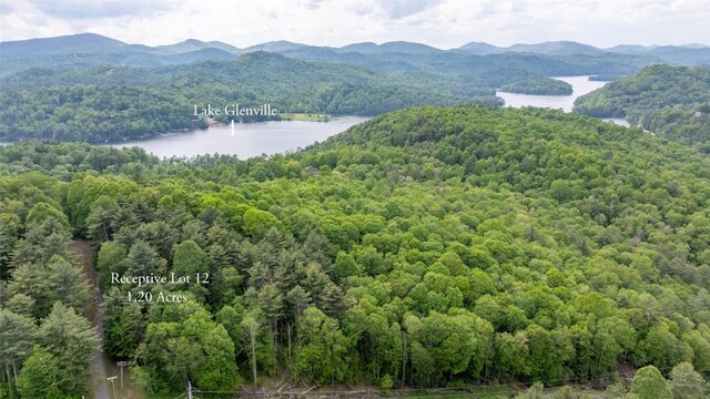 522 Receptive Dr, Glenville, NC 28736 - photo 5