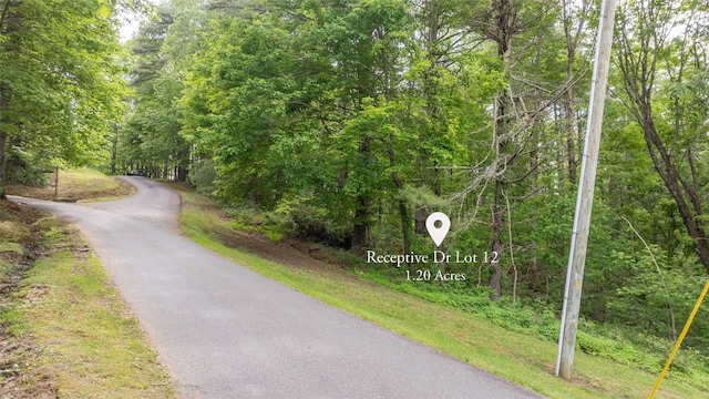 522 Receptive Dr, Glenville, NC 28736 - photo 7