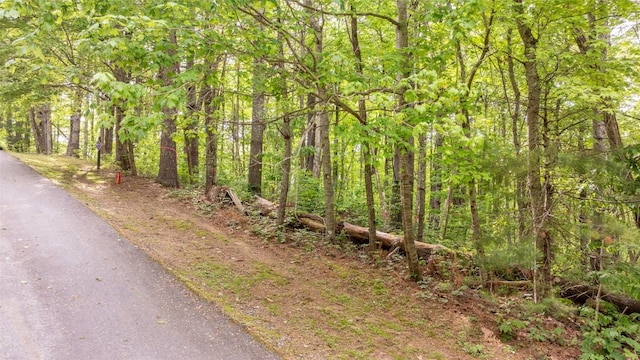 522 Receptive Dr, Glenville, NC 28736 - photo 10