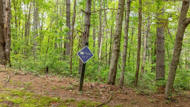 522 Receptive Dr, Glenville, NC 28736 - photo 2