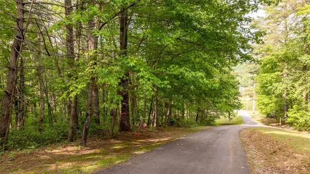 522 Receptive Dr, Glenville, NC 28736 - photo 12