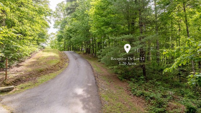 522 Receptive Dr, Glenville, NC 28736 - photo 9