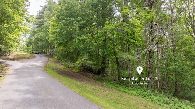 522 Receptive Dr, Glenville, NC 28736 - photo 8