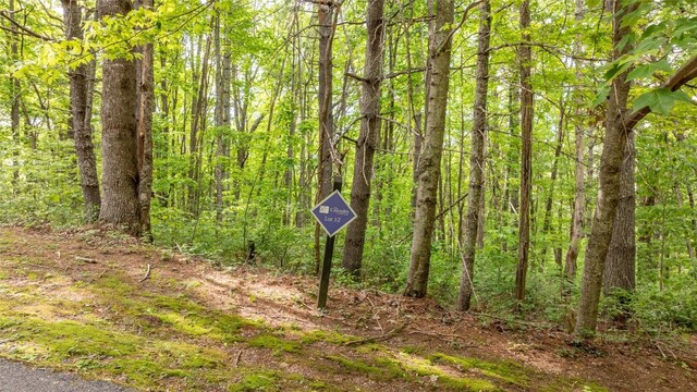 522 Receptive Dr, Glenville, NC 28736 - photo 11