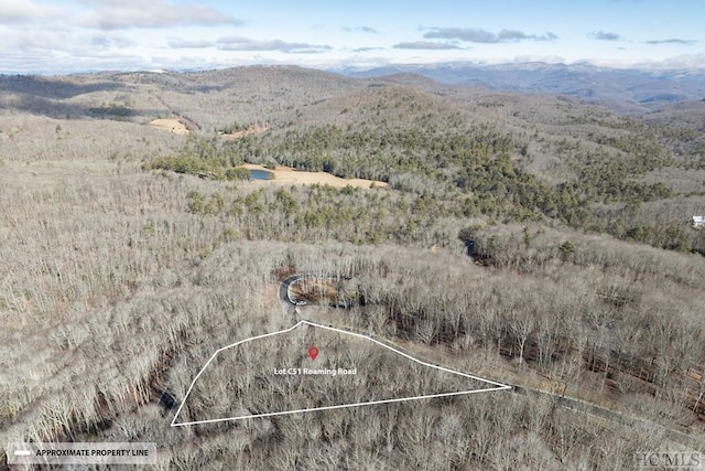 LOTC51 Roaming Rd, Glenville, NC 28736 - photo 28