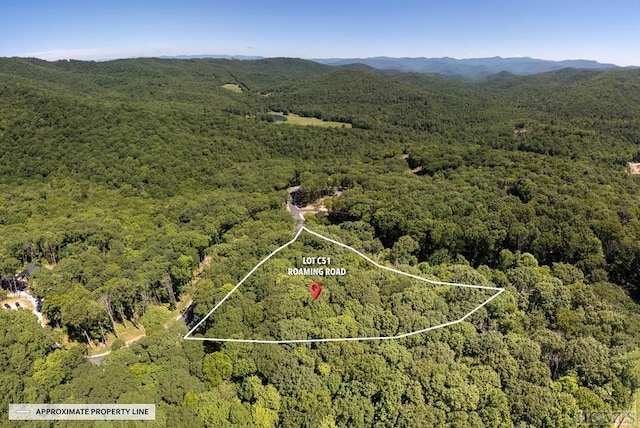 LOTC51 Roaming Rd, Glenville, NC 28736 - photo 12
