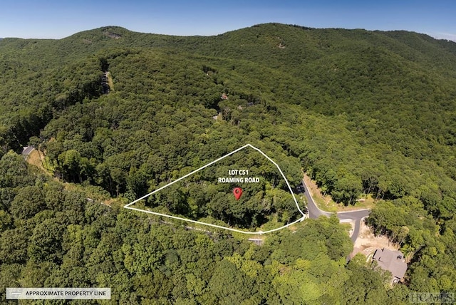 LOTC51 Roaming Rd, Glenville, NC 28736 - photo 16