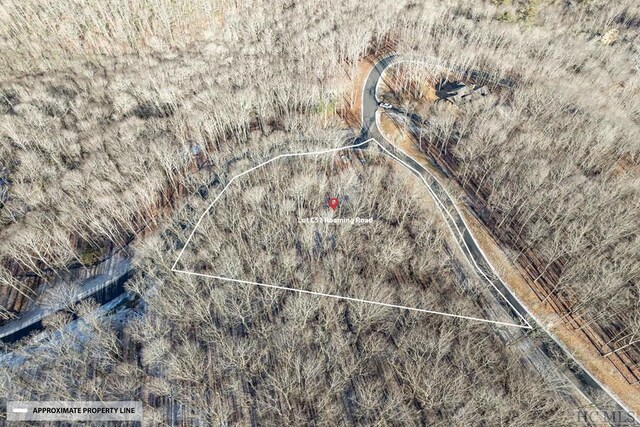 LOTC51 Roaming Rd, Glenville, NC 28736 - photo 27