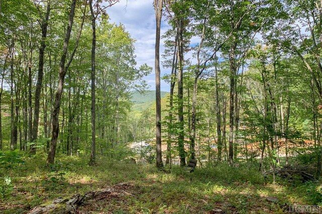 LOTC51 Roaming Rd, Glenville, NC 28736 - photo 18