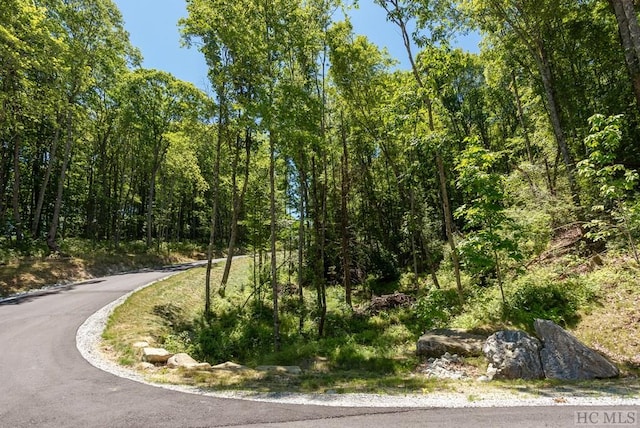 LOTC51 Roaming Rd, Glenville, NC 28736 - photo 4