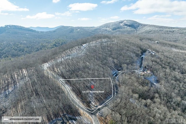 LOTC51 Roaming Rd, Glenville, NC 28736 - photo 29