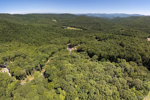 LOTC51 Roaming Rd, Glenville, NC 28736 - photo 11