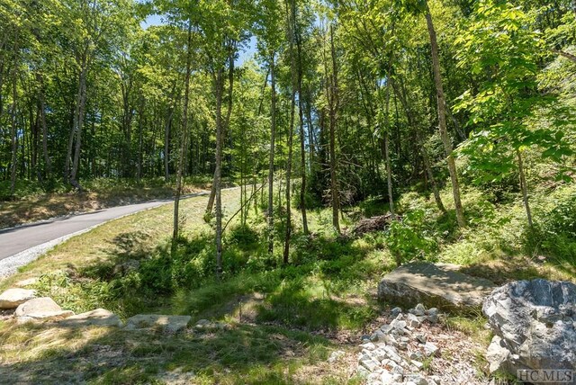 LOTC51 Roaming Rd, Glenville, NC 28736 - photo 5