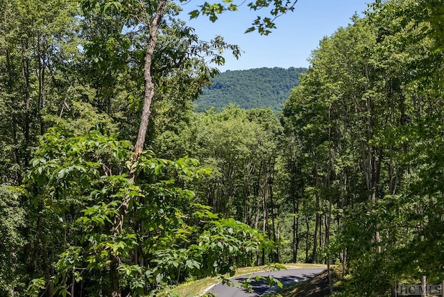 LOTC51 Roaming Rd, Glenville, NC 28736 - photo 6
