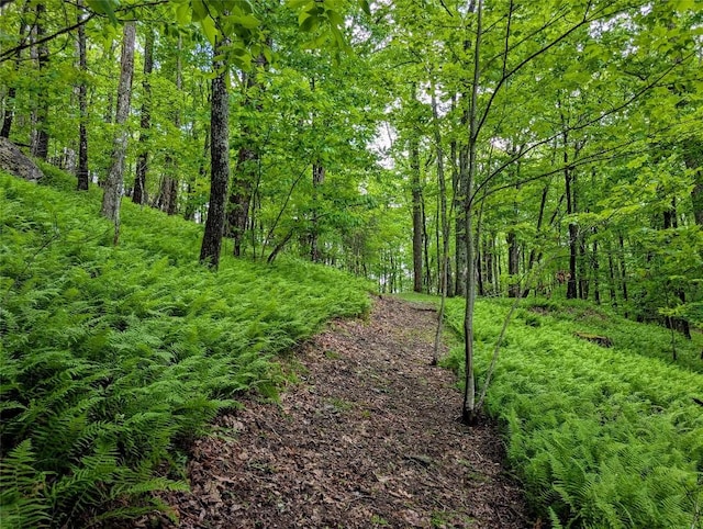 LOT3 Treasurewood Rd, Glenville, NC 28736
