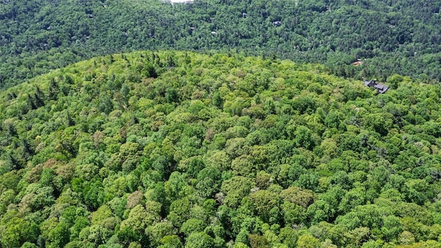 LOT3 Treasurewood Rd, Glenville, NC 28736