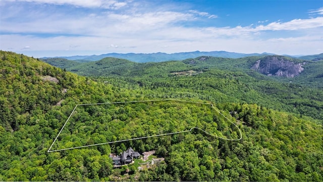 LOT3 Treasurewood Rd, Glenville, NC 28736