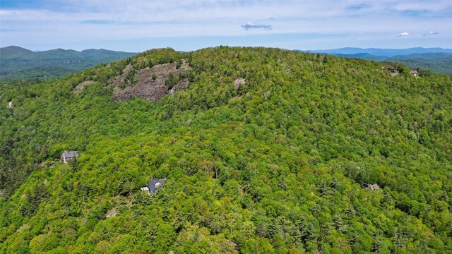 LOT3 Treasurewood Rd, Glenville, NC 28736