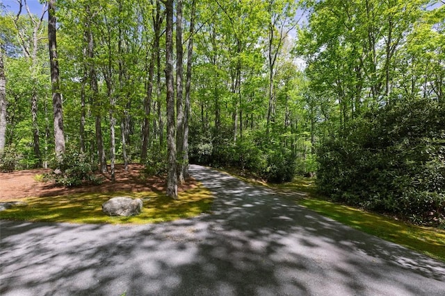 LOT3 Treasurewood Rd, Glenville, NC 28736