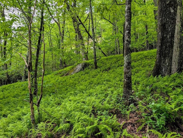 LOT3 Treasurewood Rd, Glenville, NC 28736