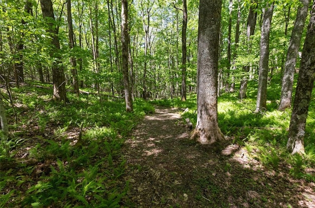 LOT3 Treasurewood Rd, Glenville, NC 28736