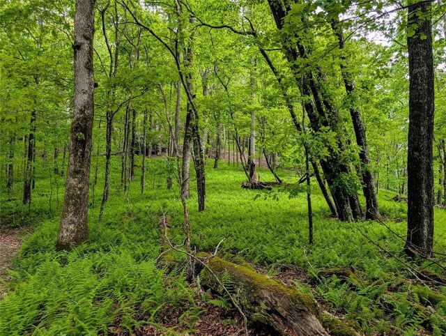 LOT3 Treasurewood Rd, Glenville, NC 28736