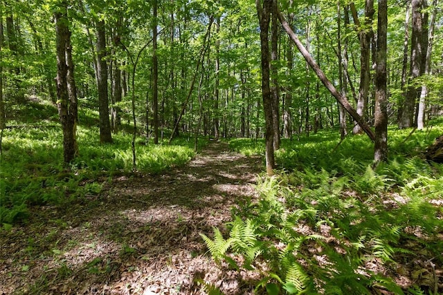 LOT3 Treasurewood Rd, Glenville, NC 28736