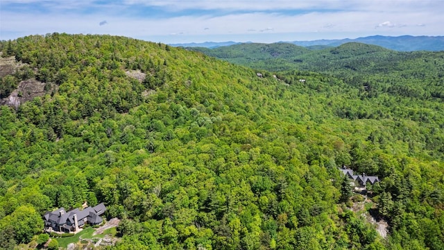 LOT3 Treasurewood Rd, Glenville, NC 28736
