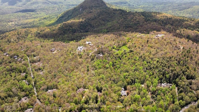 aerial view of a heavily wooded area and a mountainous background