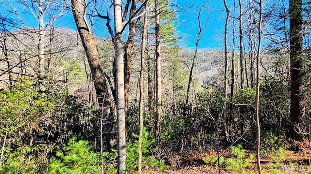 view of local wilderness featuring a mountain view