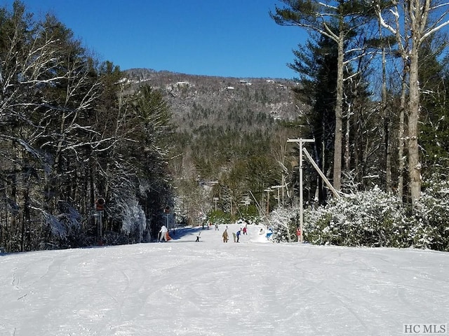 view of mountain feature