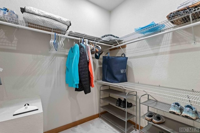 view of spacious closet