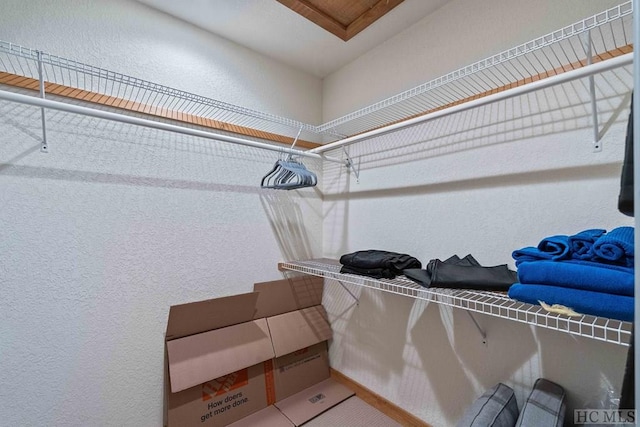 view of walk in closet